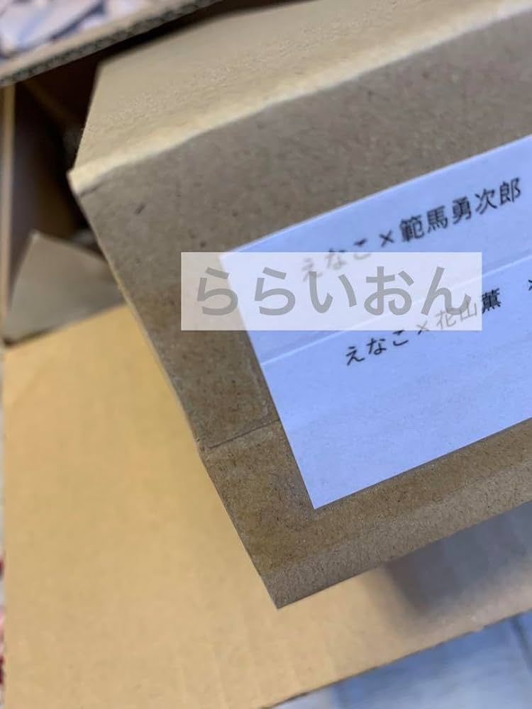 えなこ道　写真集　特典　刃牙　バキ　花山薫　範馬勇次郎　コラボ　ポスター Amazon.co.jp: えなこ道 イベント限定 特典 刃牙 バキ 花山薫 範